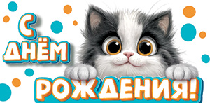 Конверты для денег, С Днем Рождения! (милый котенок), 10 шт.