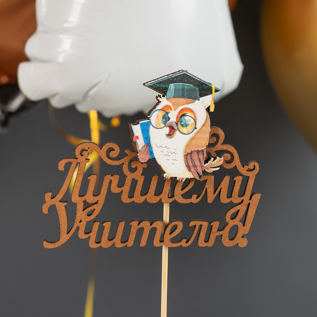 Топпер, Лучшему Учителю! (мудрая сова), 10*29 см, 1 шт.