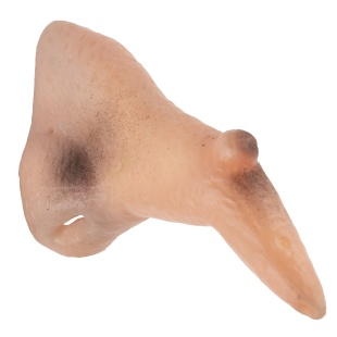 Нос Ведьмы, 1 шт. 