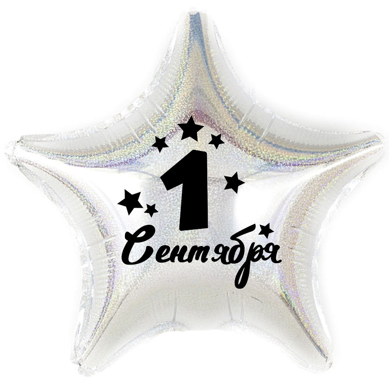 Наклейка 1 Сентября, 13,5*22 см, Черный, 1 шт.