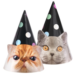 Колпаки, Котики, 16 см, 6 шт. в упак. 