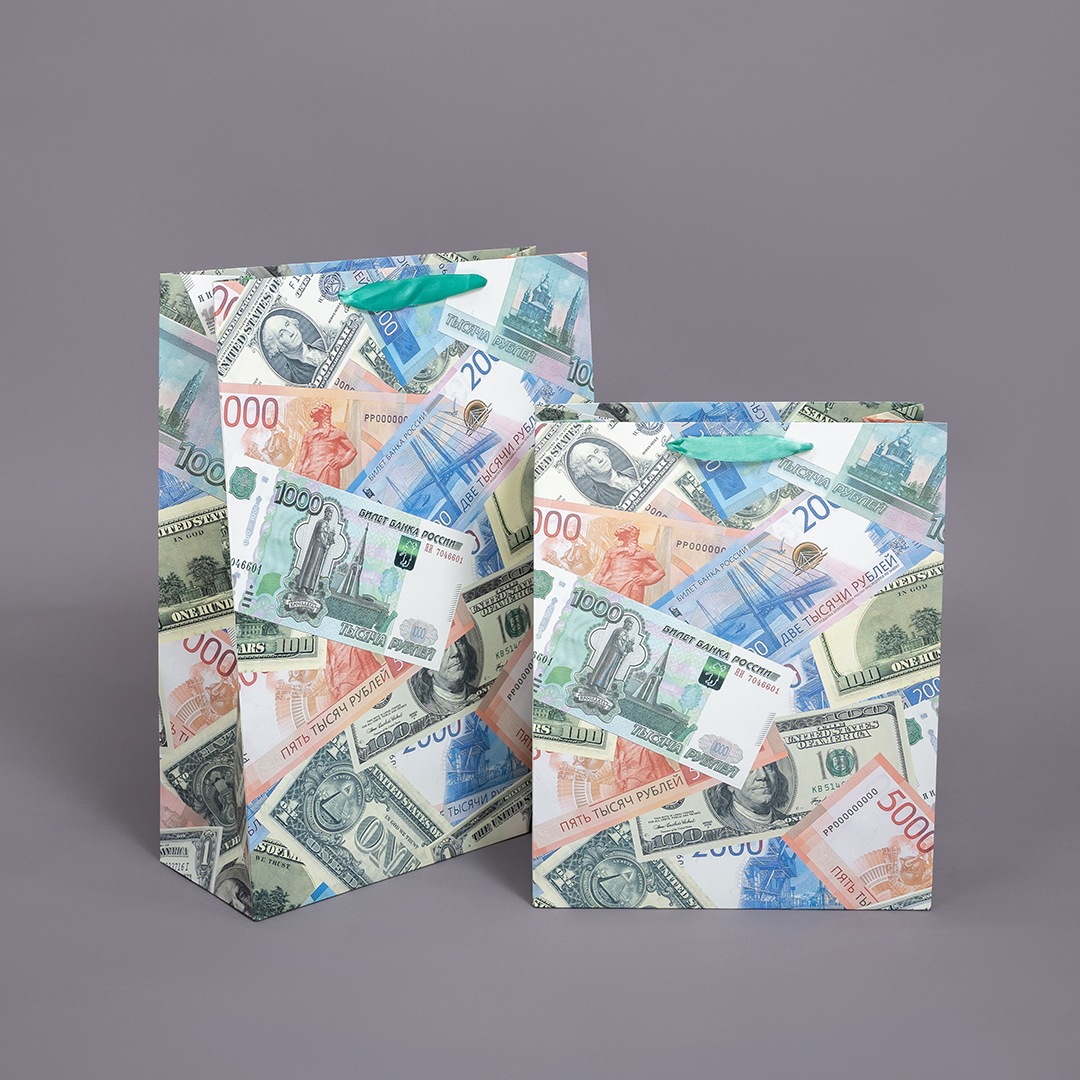 Пакет подарочный, 210гр, Деньги, 23*18*10 см, 1 шт.