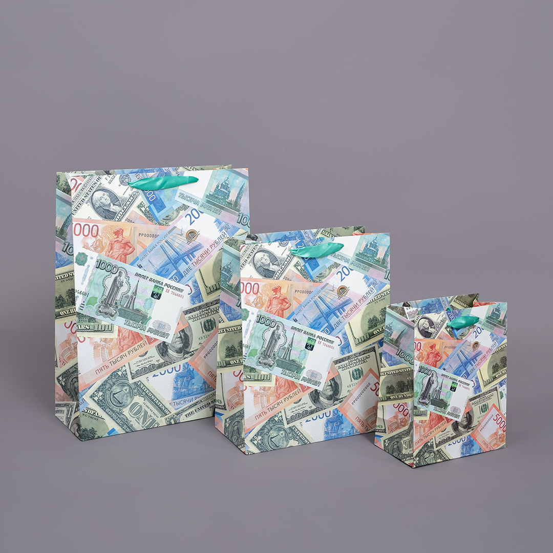 Пакет подарочный, 210гр, Деньги, 23*18*10 см, 1 шт.
