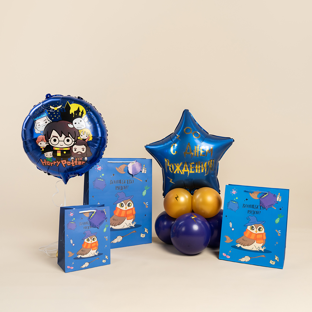 Пакет подарочный, 210гр, Волшебная школа, 23*18*10 см, 1 шт.