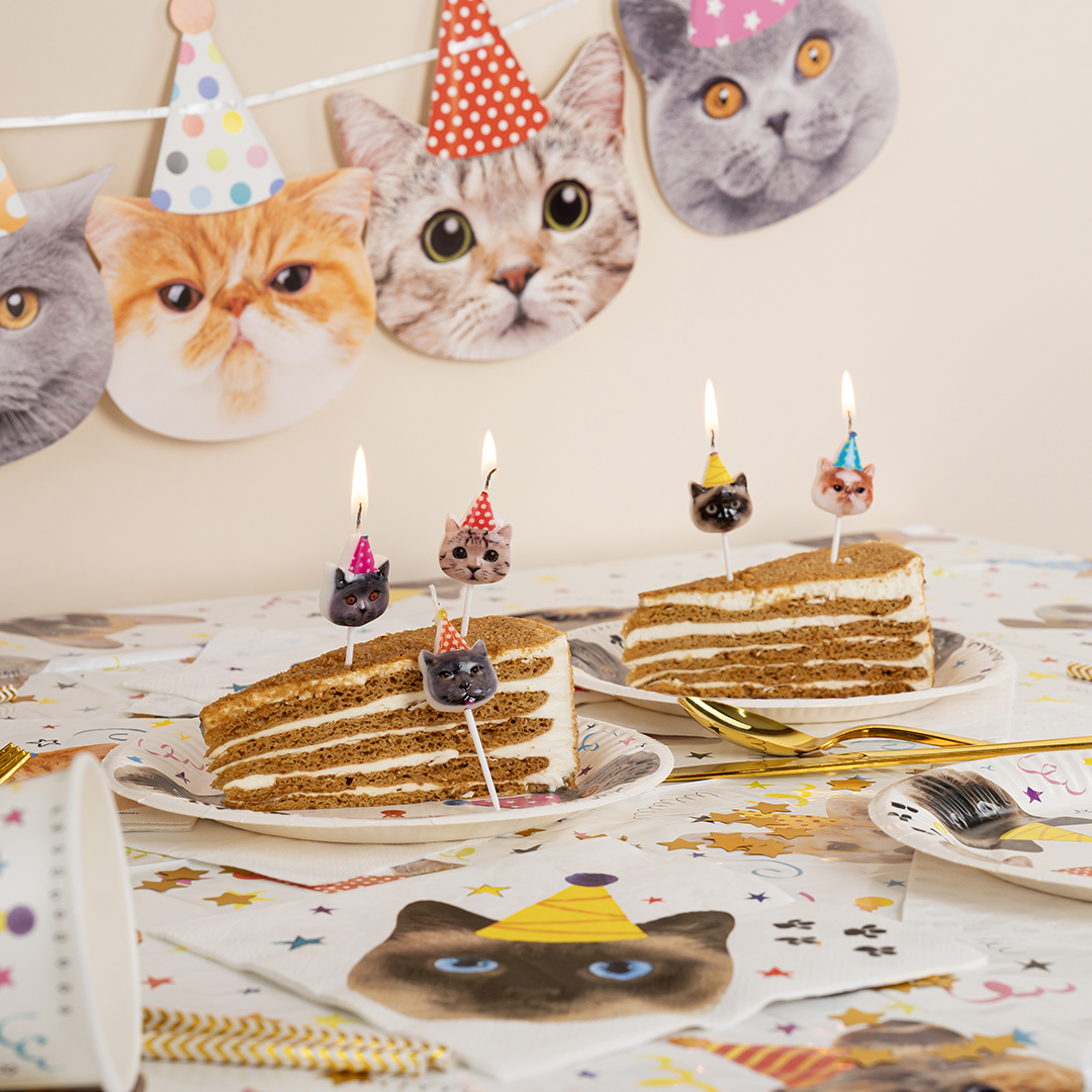 Набор свечей Фигура, Котики, 6 см, 5 шт. с держат.