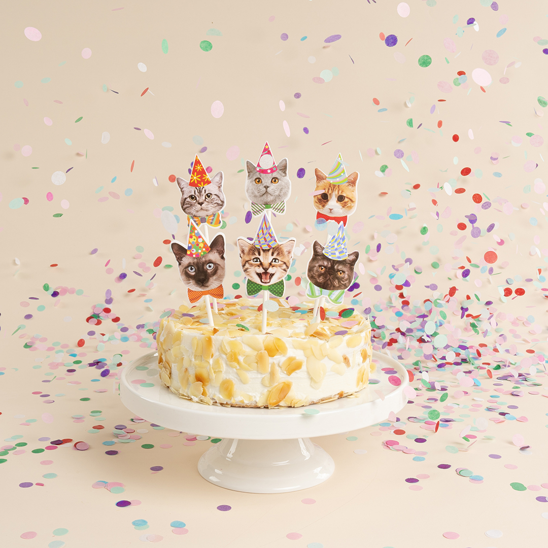 Топперы, Котики, Ассорти, 14 см, 6 шт.