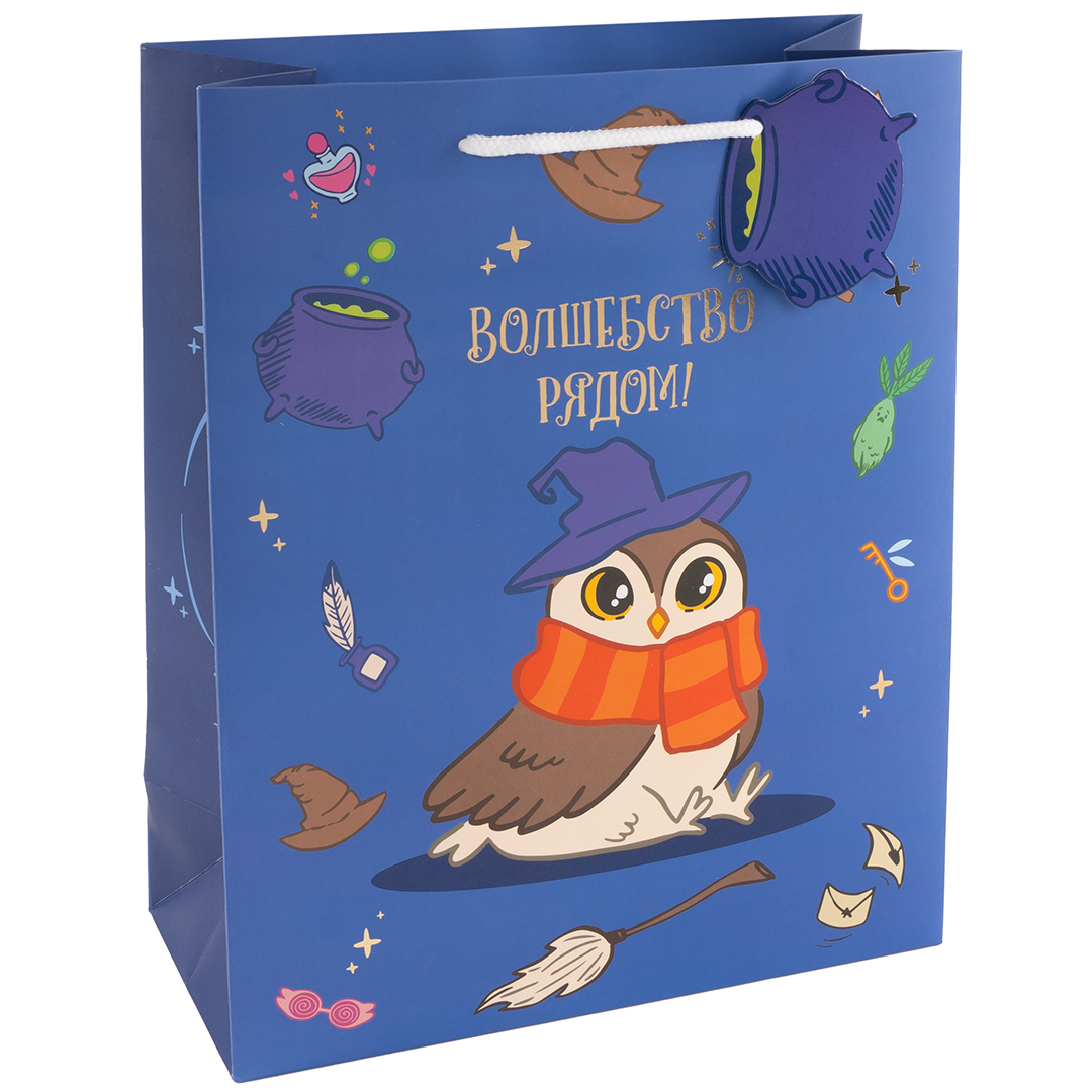 Пакет подарочный, 210гр, Волшебная школа, 23*18*10 см, 1 шт.