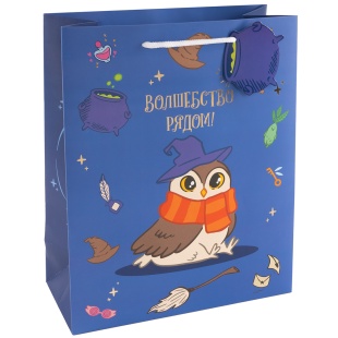 Пакет подарочный, 210гр, Волшебная школа, 32*26*12 см, 1 шт.