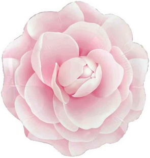 Шар (19''/48 см) Цветок, Камелия, Розовый, 1 шт.