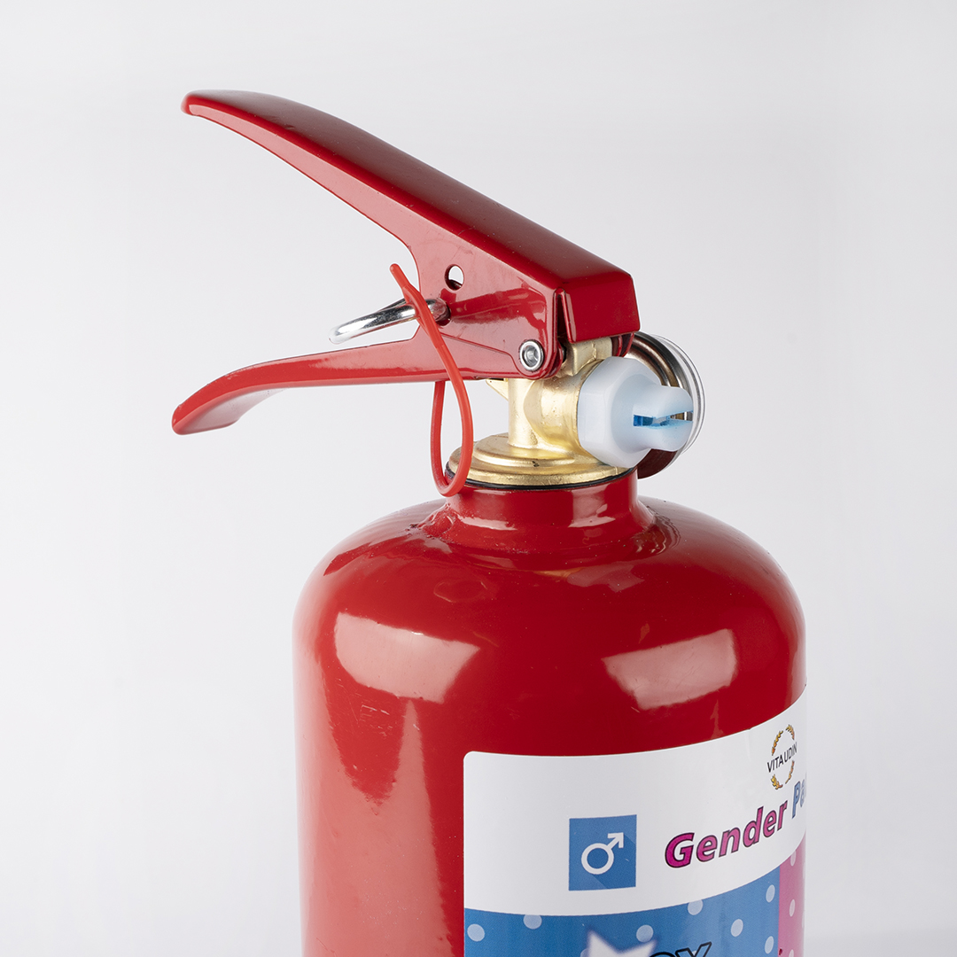 Огнетушитель с Краской Холи, Гендер Пати, Розовый, 2 л. 