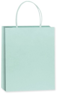Пакет подарочный, Крафт 120гр, Мастхэв, Светло-голубой, 15*12*6 см, 1 шт.