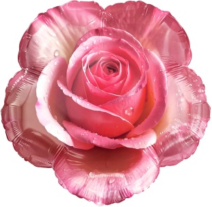 Шар (18''/46 см) Фигура, Утренняя роза, 1 шт. в уп. (цв.этик.)