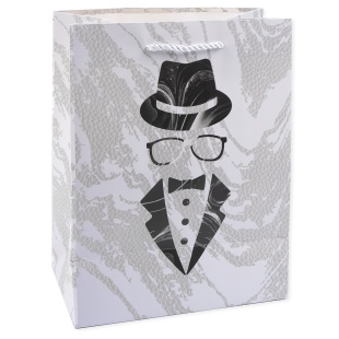 Пакет подарочный, 210гр, Мистер Икс, Дизайн №4, Металлик, 23*18*10 см, 1 шт.