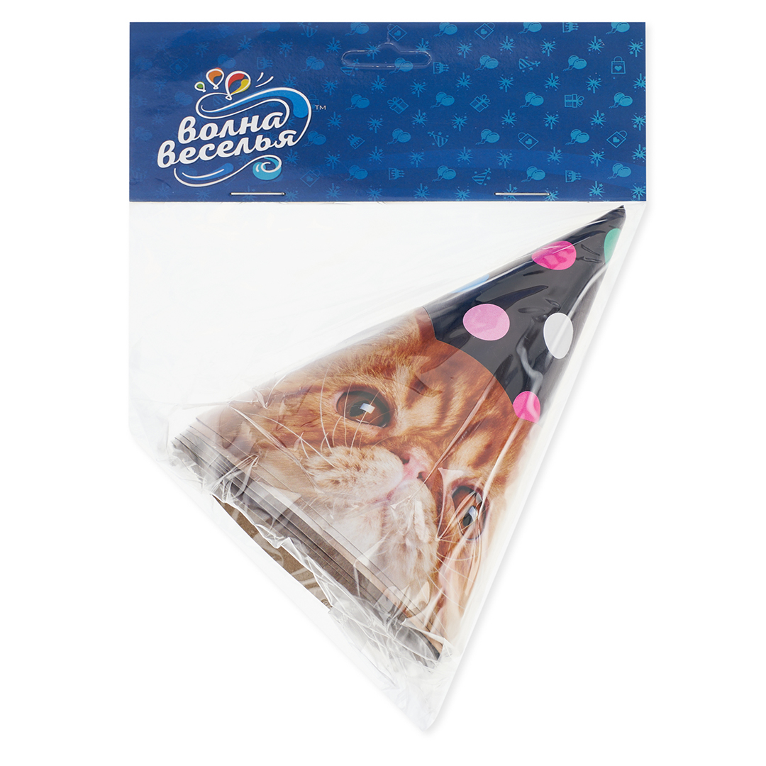 Колпаки, Котики, 16 см, 6 шт. в упак. 