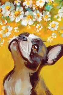 Открытка, С Днем Рождения! (бульдог и ромашки), 10*15 см, 1 шт.