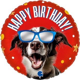 Шар (18''/46 см) Круг, Happy Birthday (классный пес в очках), Красный, 1 шт.