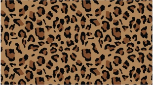 Конверты для денег, Сафари, Пятнистый принт, 5 шт.