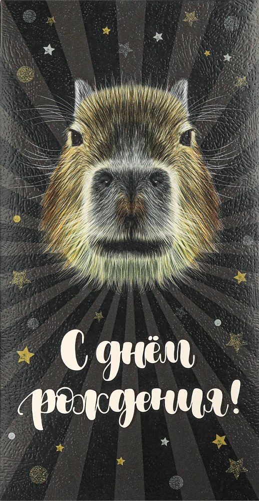 Конверты для денег, С Днем Рождения! (капибара), 10 шт.