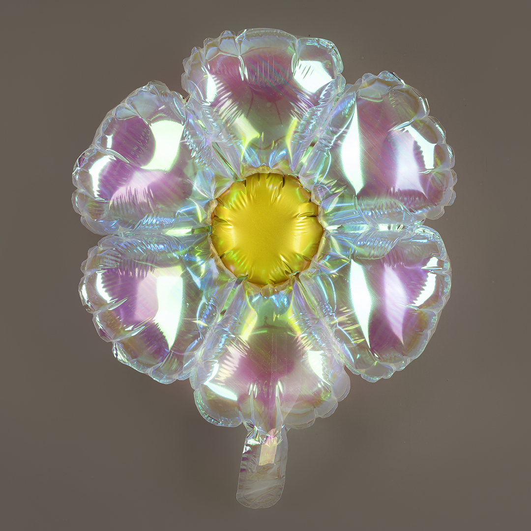 Шар (24''/61 см) Цветок, (надув воздухом), Прозрачный, Хамелеон, 1 шт.