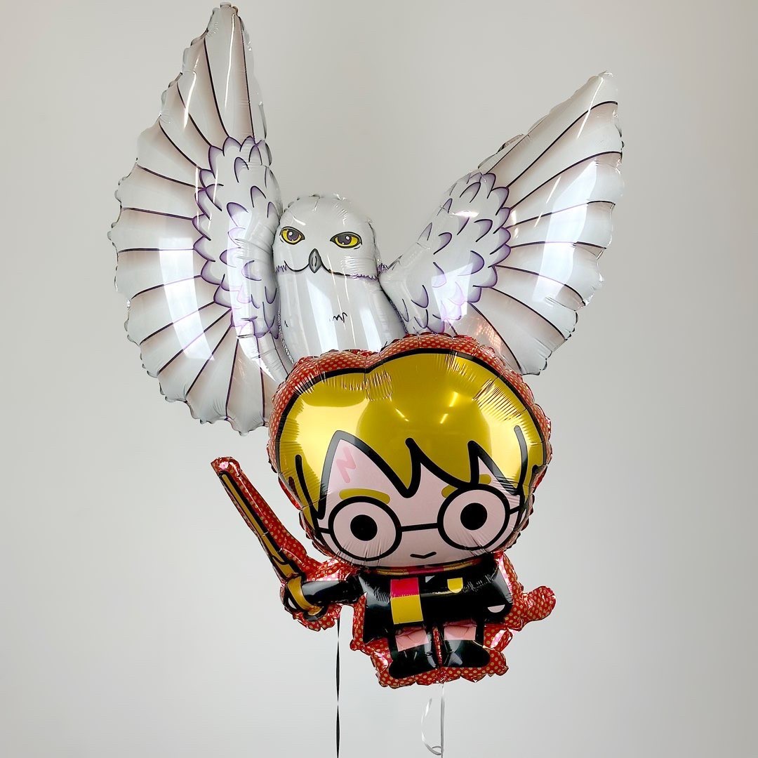 Шар (24''/61 см) Фигура, Волшебник, 1 шт.