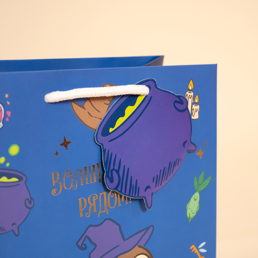 Пакет подарочный, 210гр, Волшебная школа, 23*18*10 см, 1 шт.