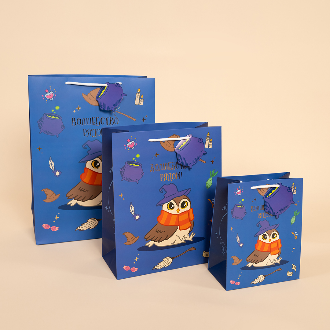 Пакет подарочный, 210гр, Волшебная школа, 23*18*10 см, 1 шт.